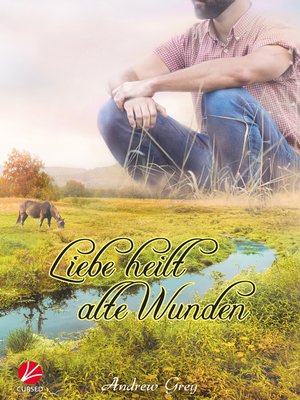 cover image of Liebe heilt alte Wunden